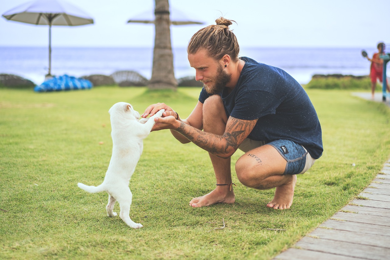 man playing with dog meditation benefit