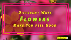 10 ways flowers make you feel good