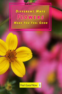 10 ways flowers make you feel good pinterest