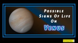 A New Study Hints Possible Signs Of Life On Venus