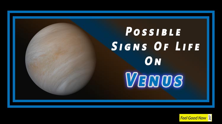 A New Study Hints Possible Signs Of Life On Venus 