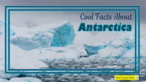 Cool facts about Super Cool Antarctica