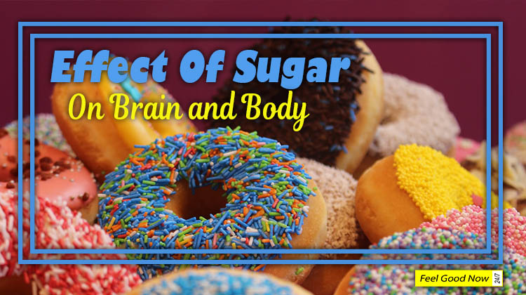 Effect of Sugar on the Brain and the Body