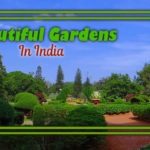 Top Beautiful Gardens To Visit In India