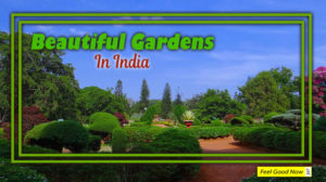 Top Beautiful Gardens To Visit In India