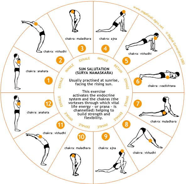 Surya_Namaskar-Sun Salutation yoga pose 12 steps
