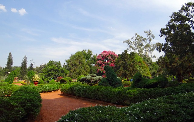 Lal Bagh Garden Bangalore Beautiful gardens India