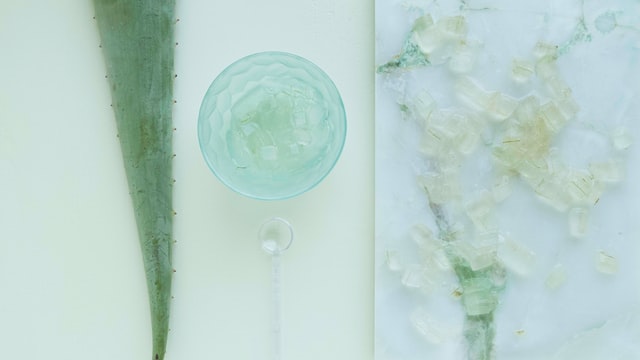 take skin care aloe vera tips to beat summer heat